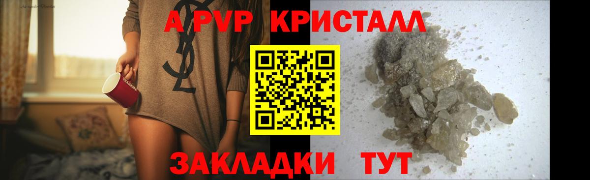 A PVP СК КРИС Заводоуковск