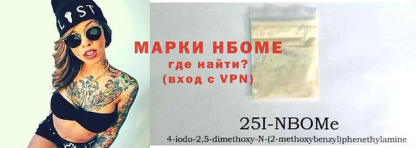 индика Алзамай