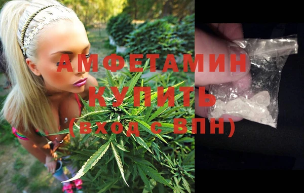 индика Алзамай