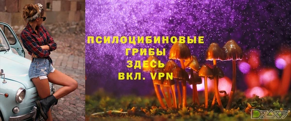 круглые Алексин