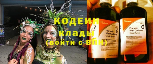 индика Алзамай