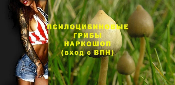 индика Алзамай