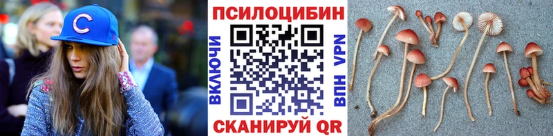 наркота Заводоуковск Псилоцибиновые грибы MAGIC MUSHROOMS