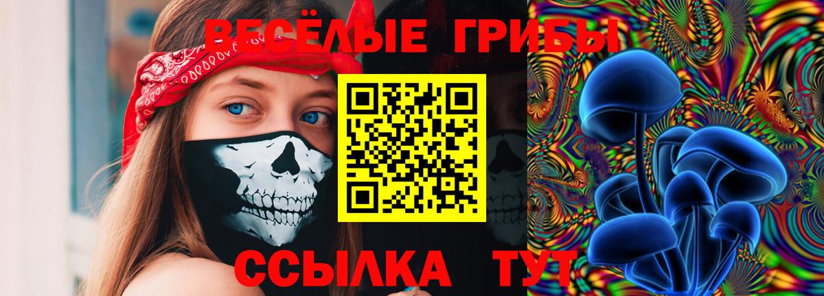 Псилоцибиновые грибы GOLDEN TEACHER  Вход с VPN  Галлюциногенные грибы ЛСД  цены наркотик  Заводоуковск 