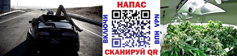 купить  сайты  Заводоуковск  Конопля OG Kush 